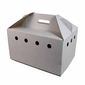 Small animal clearance cardboard carrier